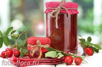 домашний сироп из плодов шиповника в фото