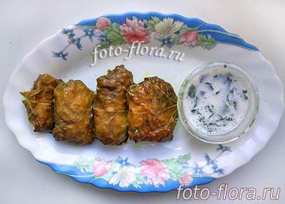 долма домашняя в фото