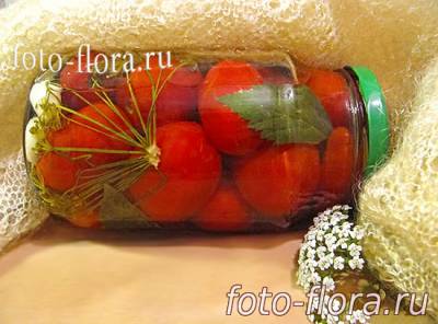 укутываем банку с помидорами для постепенного остывания