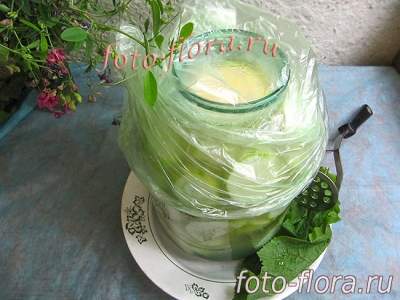 заготовка квашенных вкусно кабачков на зиму в фото пошагового рецепта