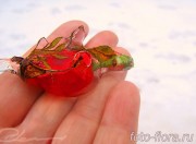 на фото ягоды шиповника во льду
