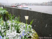 на фото Андреевский причал в Москве в снегу