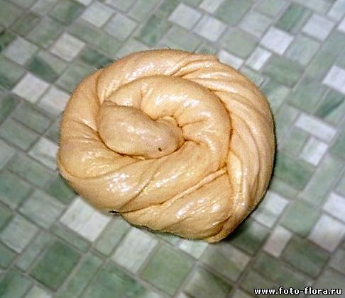 вертута с яблоками, фото пирог перед выпечкой