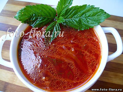 борщ классический рецепт