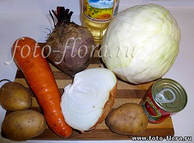продукты для приготовления борща - фото