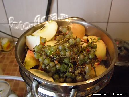 яблочно-виноградный сок на зиму