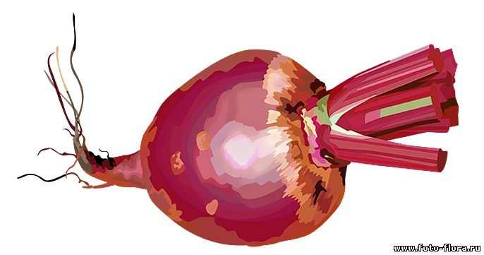 картинка сок из свеклы