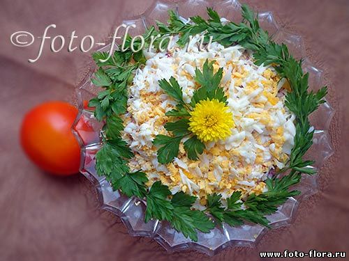 селедка под шубой фото рецепт