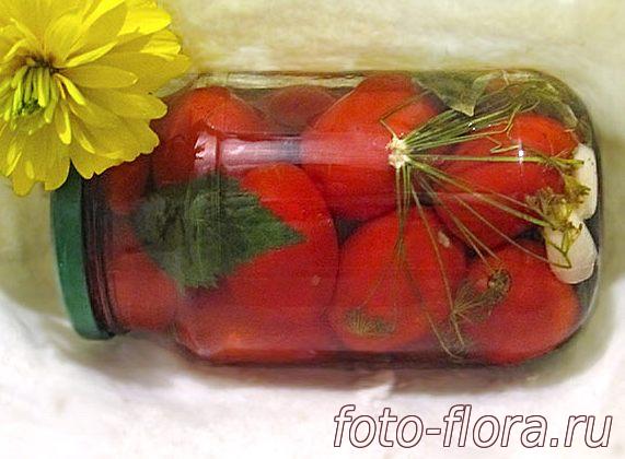 вкусно маринованные помидоры в 1 банках на зиму дома